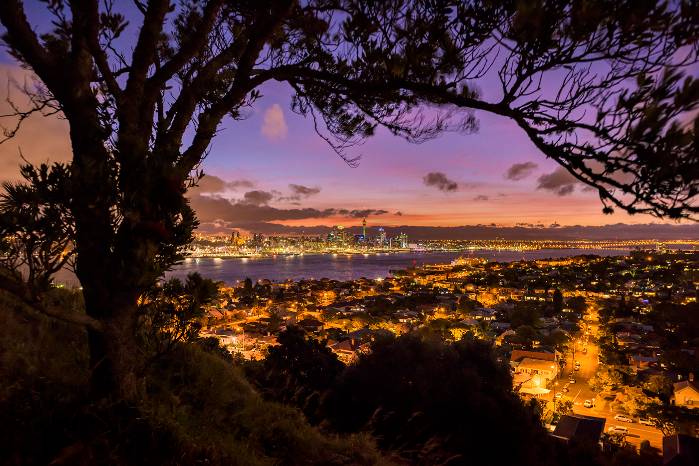 作品3：オークランドの夜景、マウントビクトリア保護区から