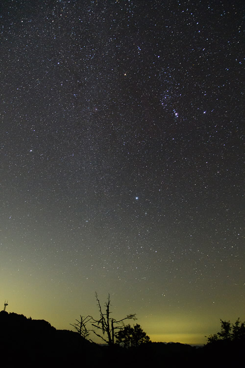 ●カメラ：D7500 ●レンズ：AF-S DX NIKKOR 16-80mm f/2.8-4E ED VR ●撮影モード：マニュアル、30秒、f/3.2 ●ホワイトバランス：晴天 ●ISO感度：3200 ●ピクチャーコントロール：フラット ●フィルター：なし