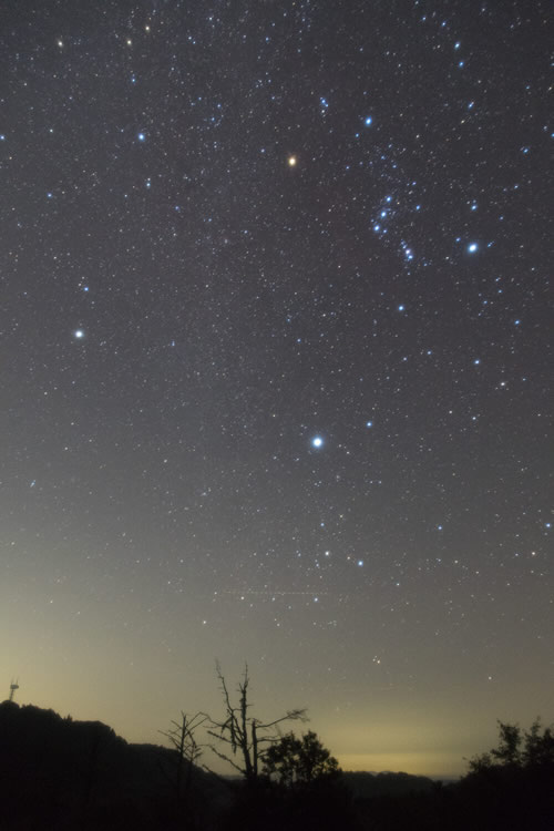 ●カメラ：D7500 ●レンズ：AF-S DX NIKKOR 16-80mm f/2.8-4E ED VR ●撮影モード：マニュアル、30秒、f/3.2 ●ホワイトバランス：晴天 ●ISO感度：3200 ●ピクチャーコントロール：フラット ●フィルター：ニコンニューソフトフォーカスフィルター