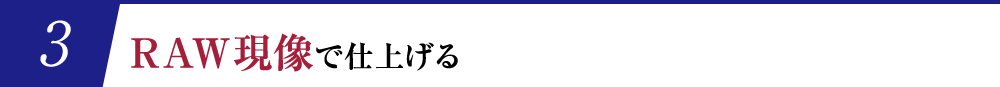 RAW現像