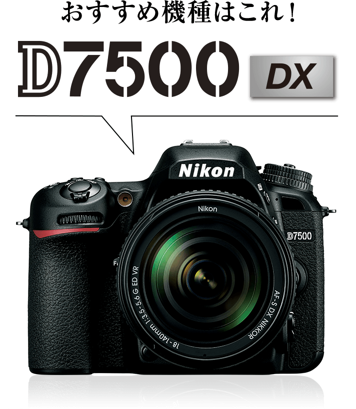おすすめ機種はこれ！D7500DX
