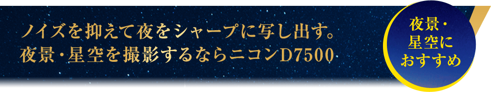 【夜景・星空におすすめ】ノイズを抑えて夜をシャープに写し出す。夜景・星空を撮影するならニコンD7500