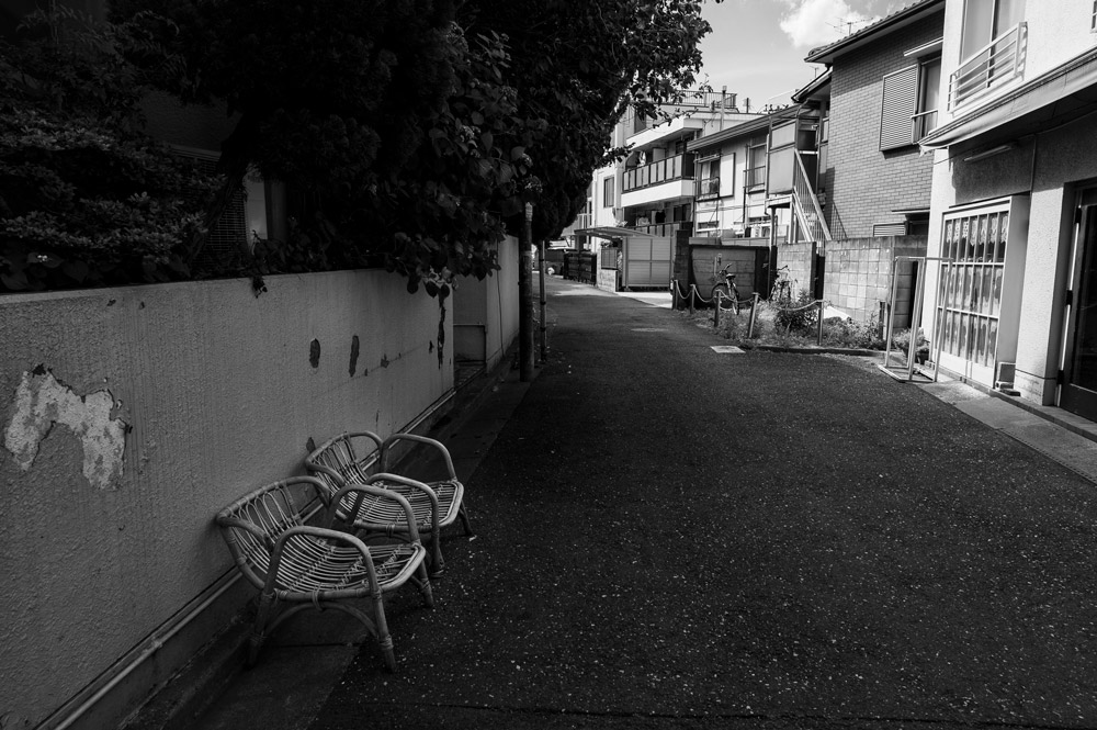 秋山 華子×NIKKOR Z 24-70mm f/4 S | NIKKOR Z スペシャルコンテンツ