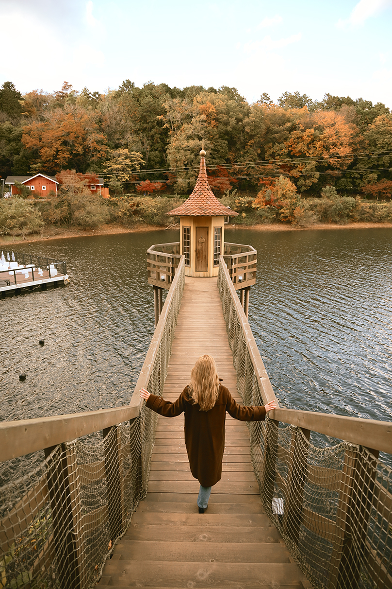 甘夏 蜜柑 Mikan Amanatsu×NIKKOR Z 24-105mm f/4-7.1作品