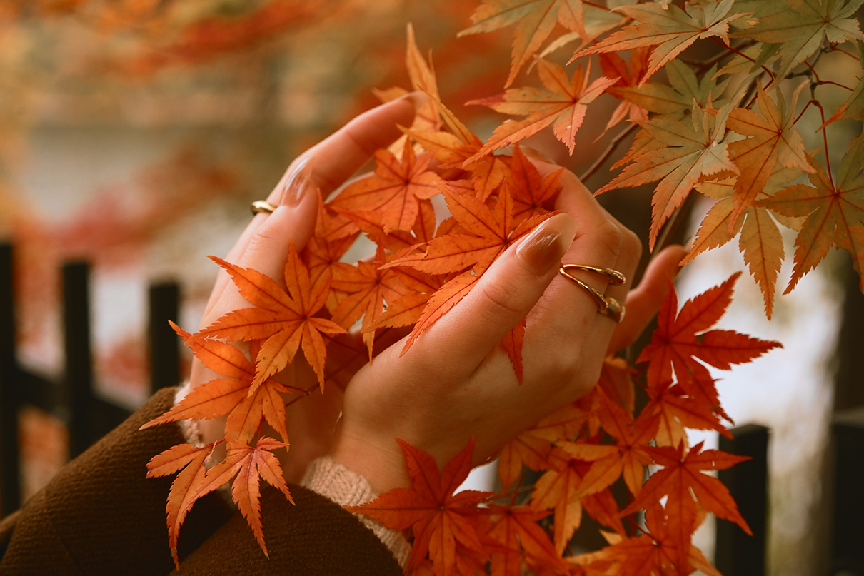 甘夏 蜜柑 Mikan Amanatsu×NIKKOR Z 24-105mm f/4-7.1作品