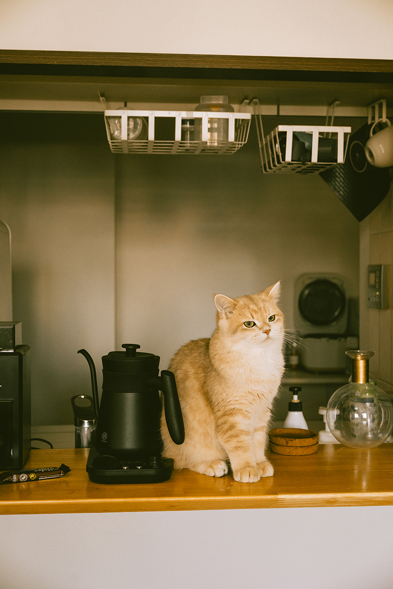 甘夏 蜜柑 Mikan Amanatsu×NIKKOR Z 24-105mm f/4-7.1作品