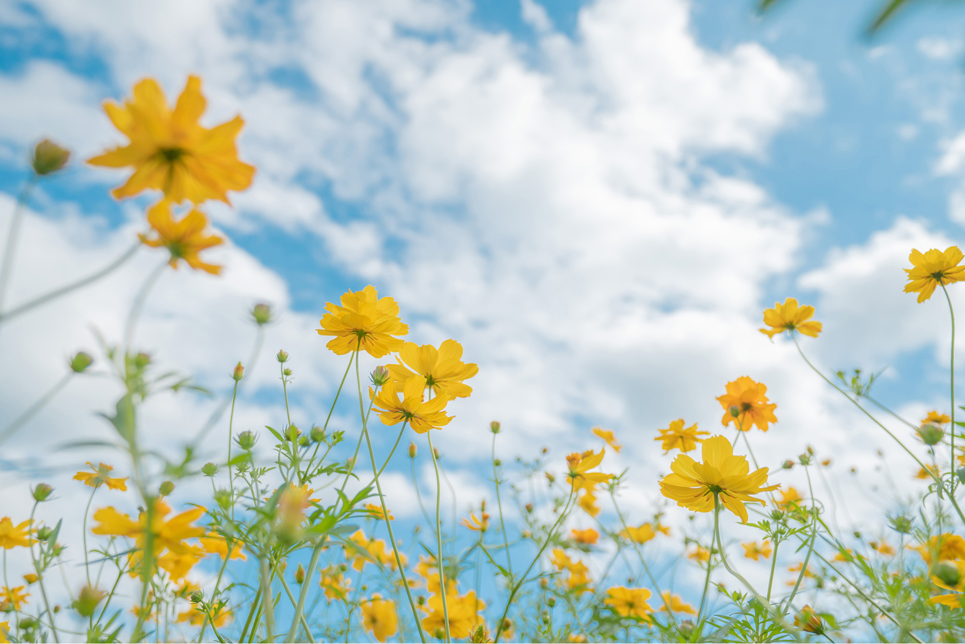 NIKKOR Z 17-28mm f/2.8メイン作例写真