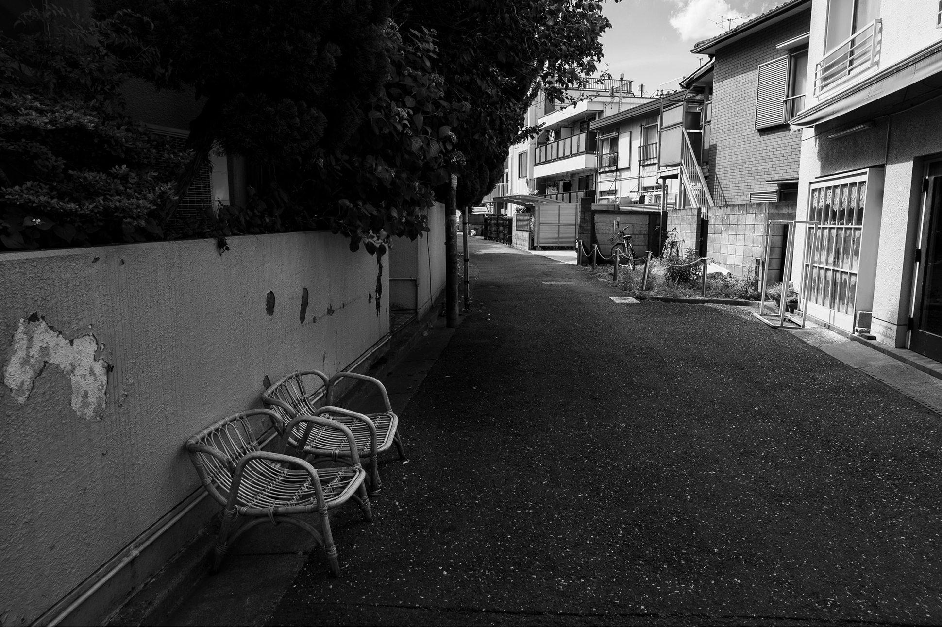 NIKKOR Z 24-70mm f/4 Sメイン作例写真