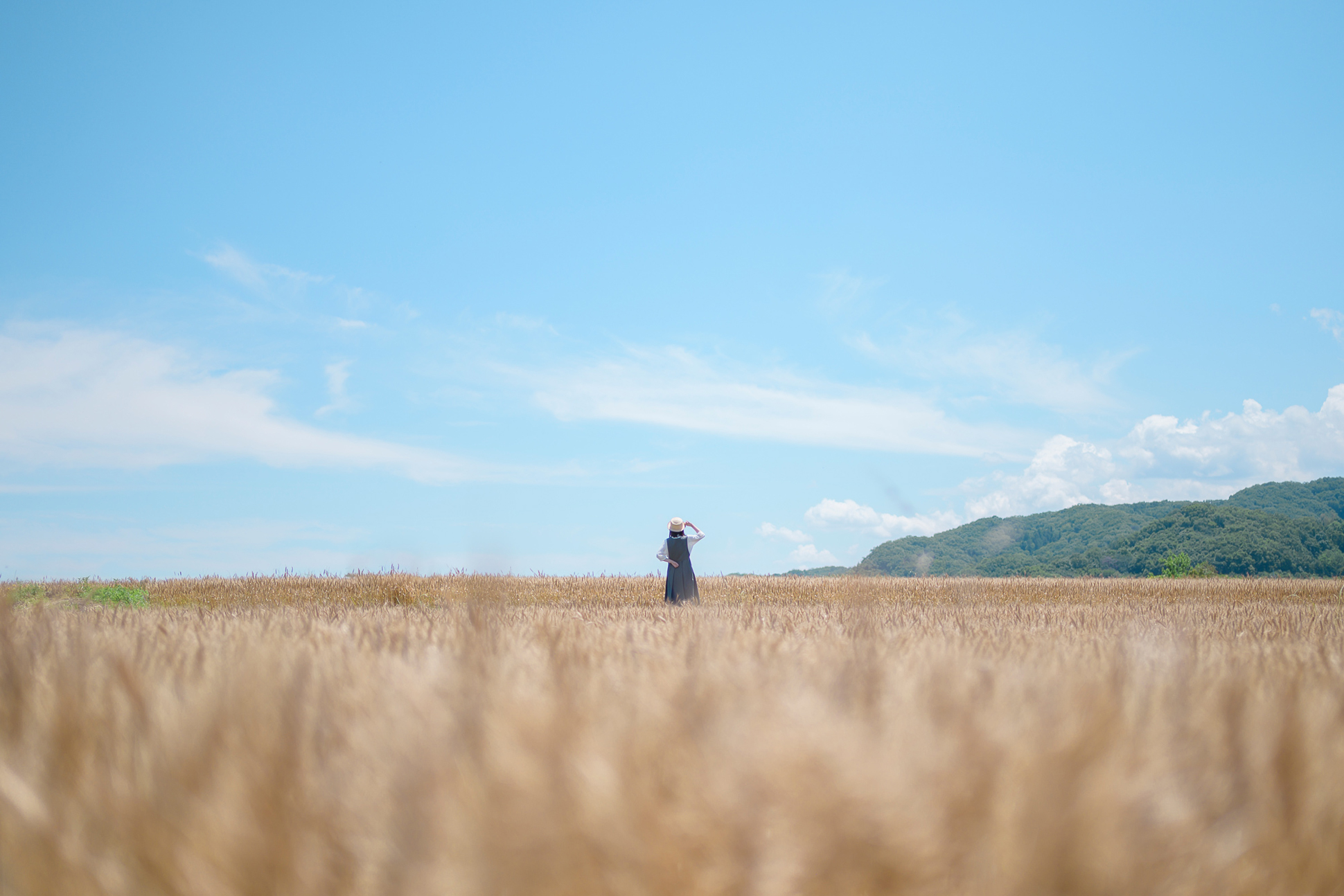 NIKKOR Z 35mm f/1.4メイン作例写真