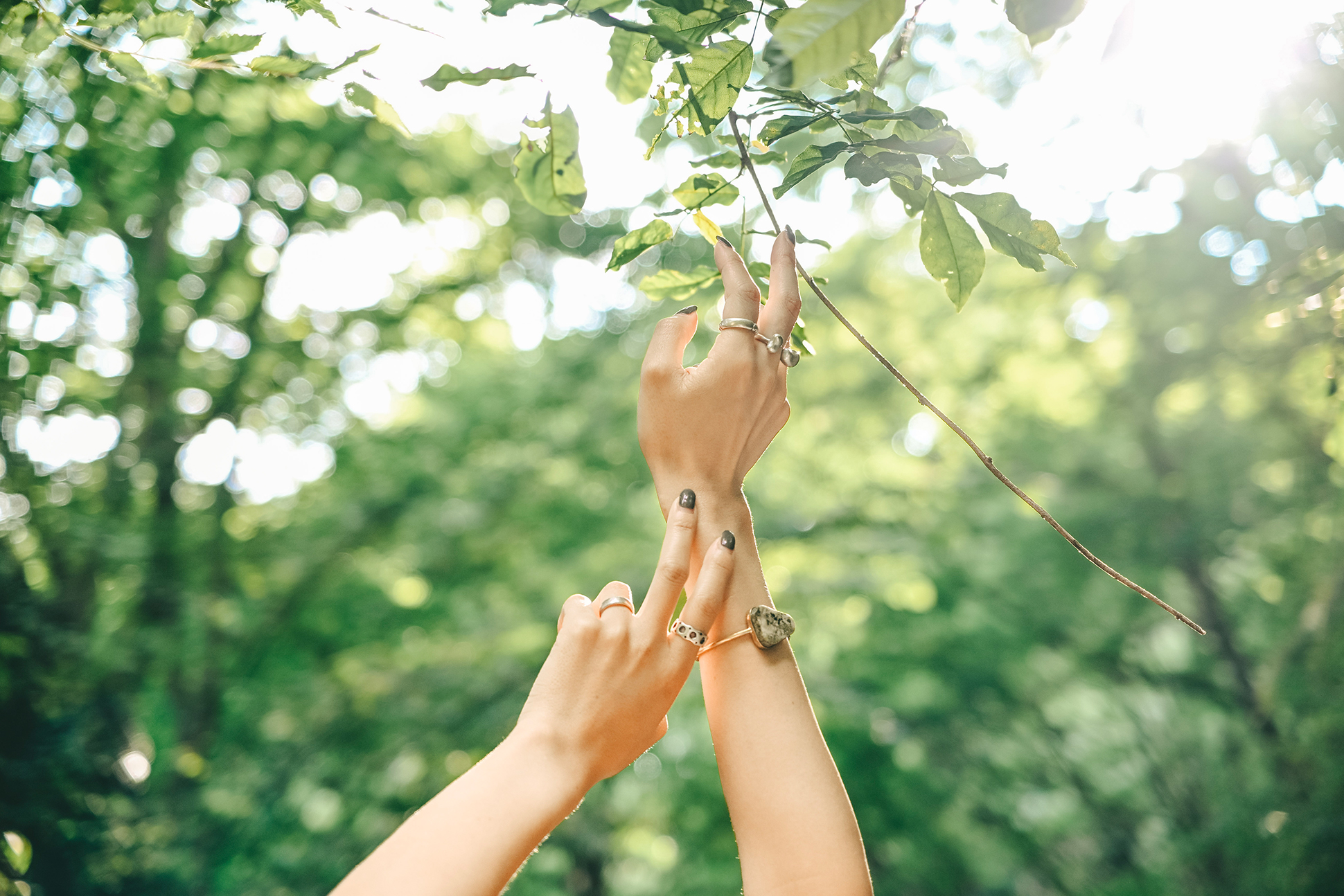 NIKKOR Z DX 16-50mm f/2.8 VRメイン作例写真