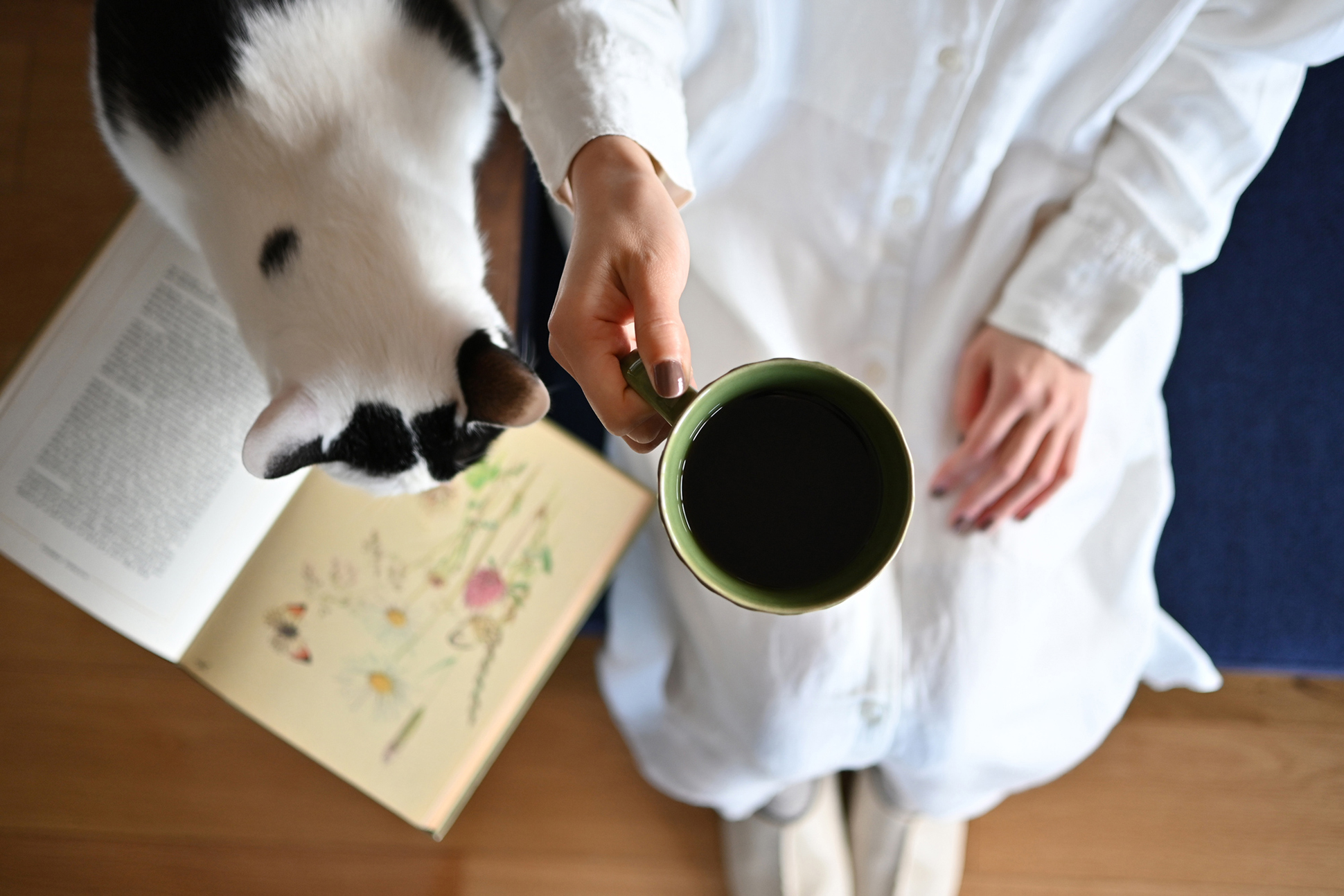 NIKKOR Z DX 24mm f/1.7メイン作例写真