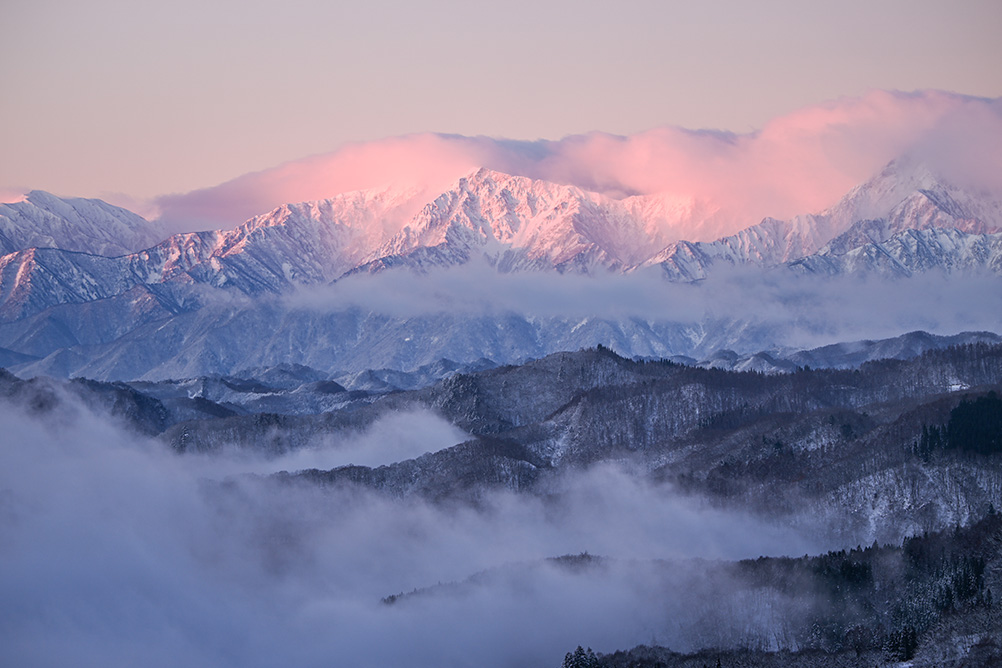 石田 卓士×NIKKOR Z 100-400mm f/4.5-5.6 VR S作品