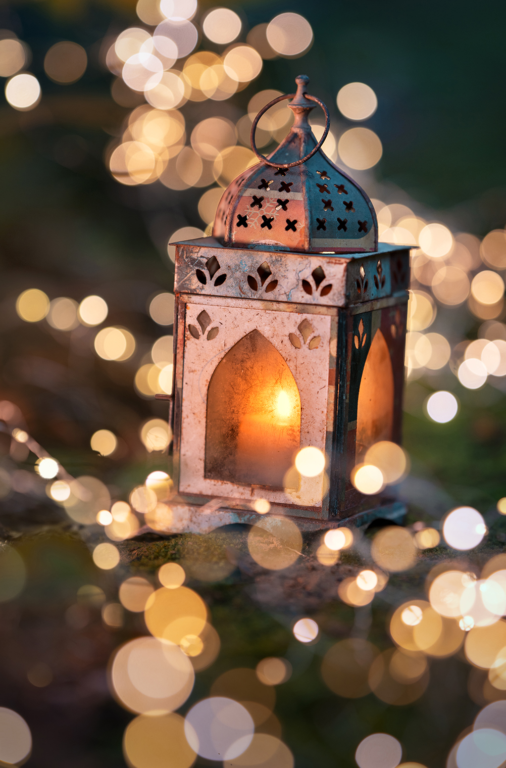 Ashraful Arefin×NIKKOR Z 135mm f/1.8 S Plena作品