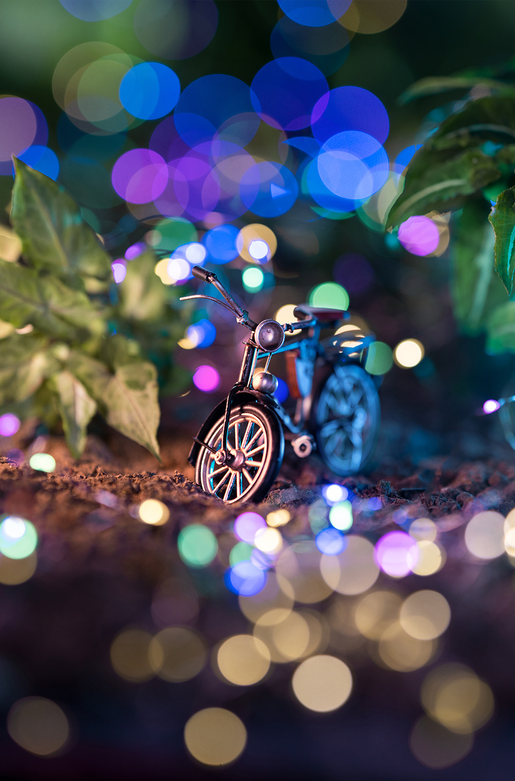 Ashraful Arefin×NIKKOR Z 135mm f/1.8 S Plena作品