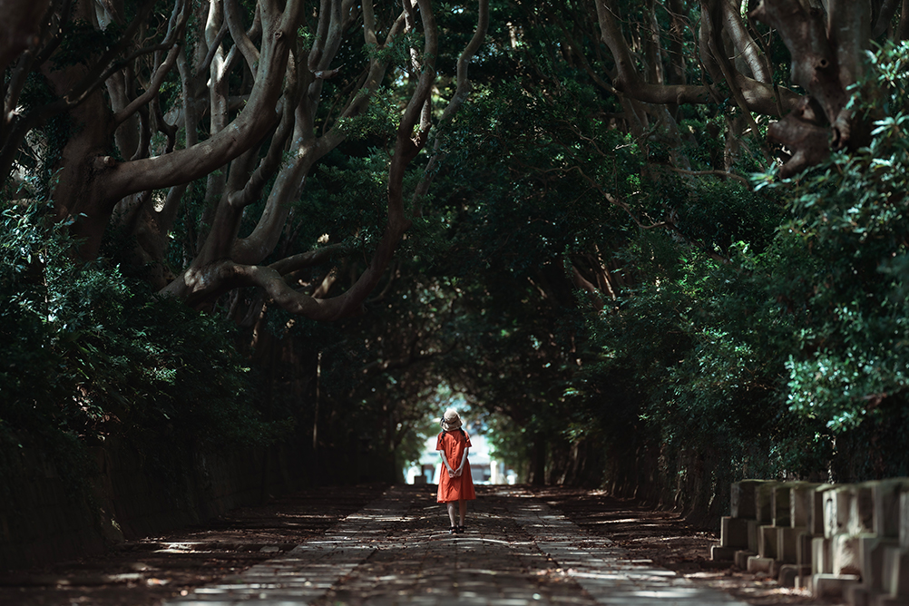Koichi×NIKKOR Z 135mm f/1.8 S Plena作品
