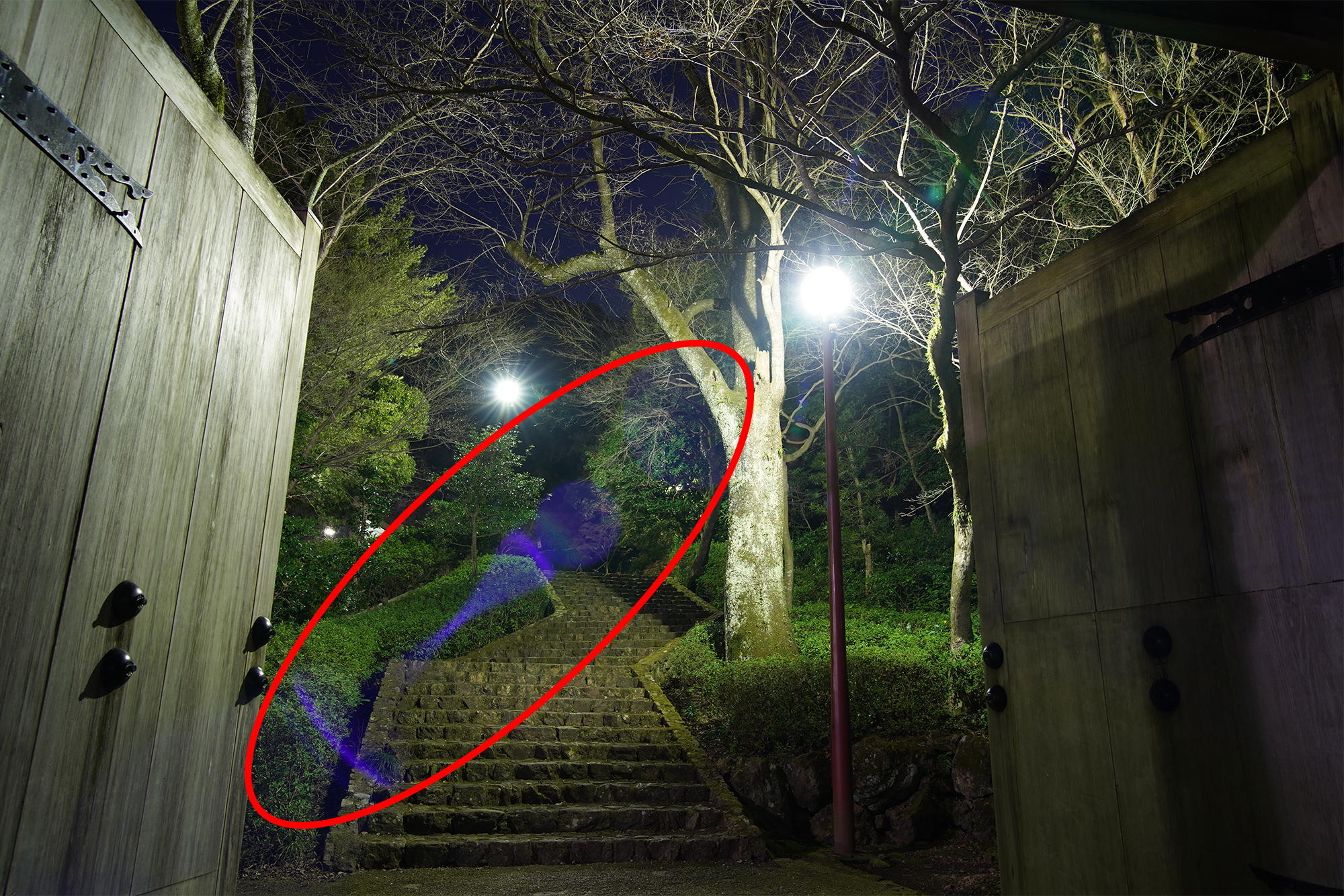 アルネオコート比較写真：他社製レンズ