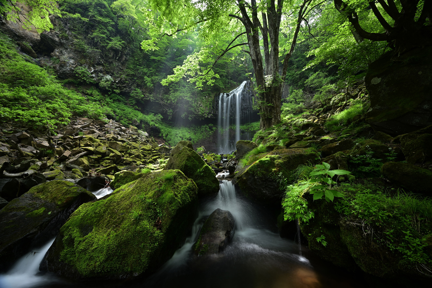 今浦 友喜×NIKKOR Z 14-30mm f/4 S作品