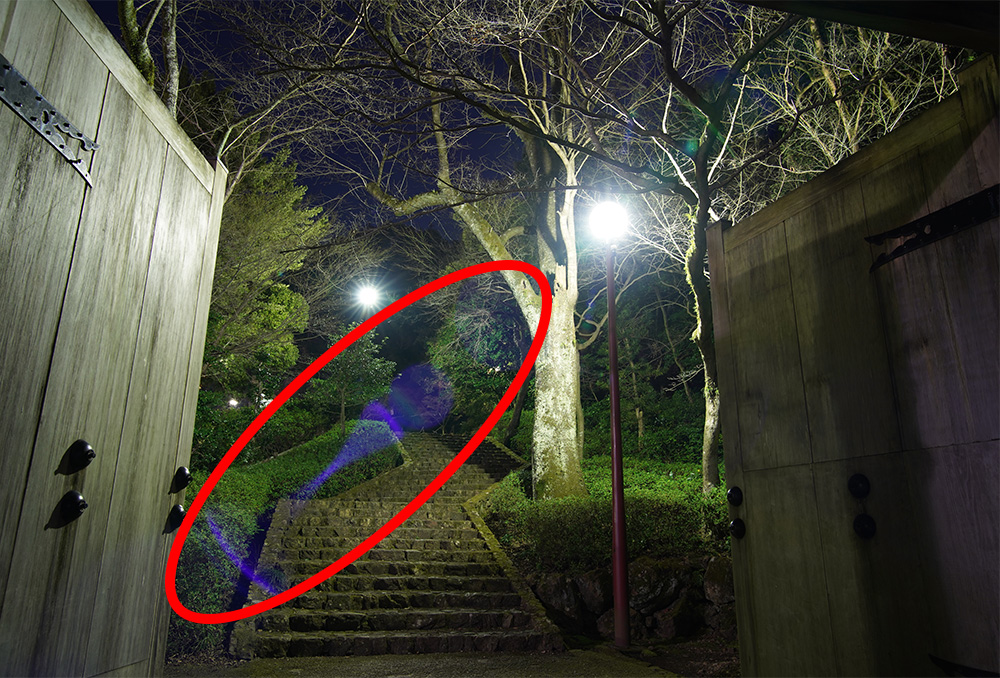 アルネオコート比較写真：他社製レンズ