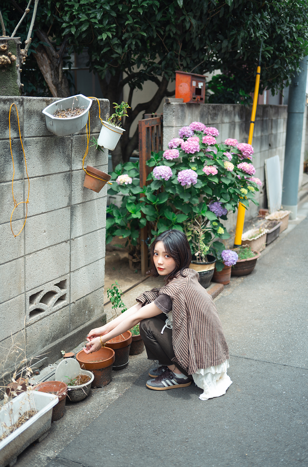 たいせい×NIKKOR Z 40mm f/2作品