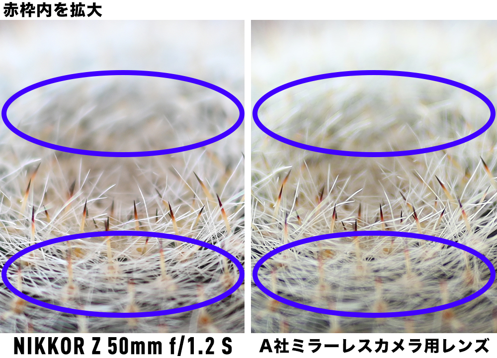 ボケ比較写真：NIKKOR Z 50mm f/1.2 S｜A社ミラーレスカメラ用レンズ