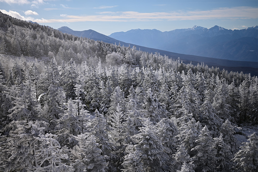 茂手木 秀行×NIKKOR Z 58mm f/0.95 S Noct作品