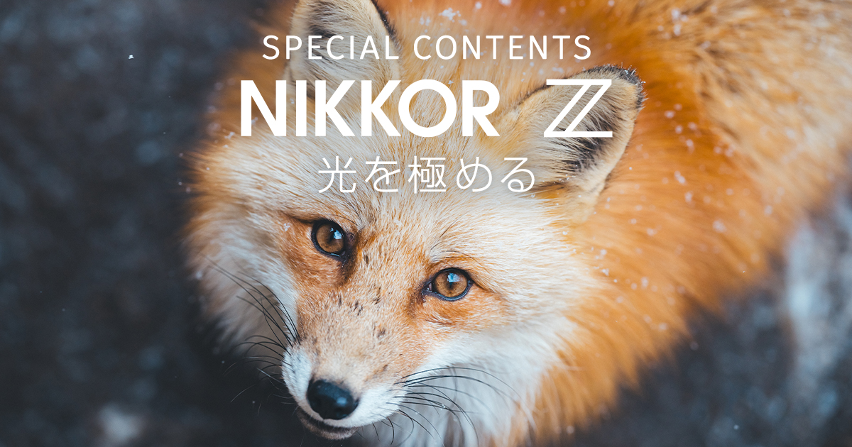 スペシャルコンテンツ NIKKOR Z