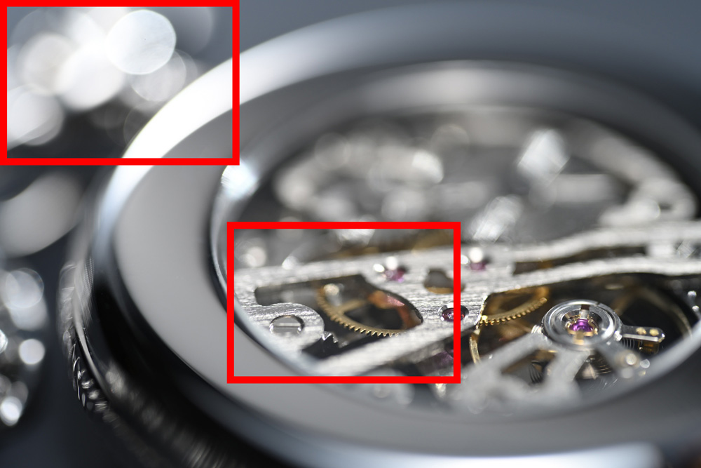 色収差補正と高い解像力写真：NIKKOR Z MC 105mm f/2.8 VR S