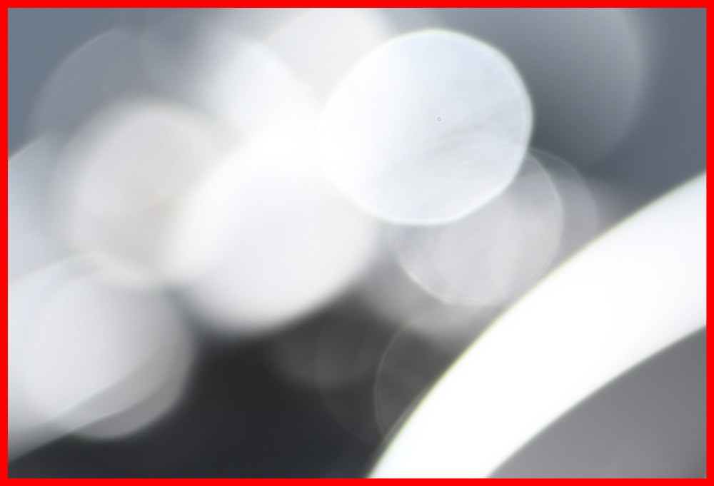 色収差補正と高い解像力写真：NIKKOR Z MC 105mm f/2.8 VR S