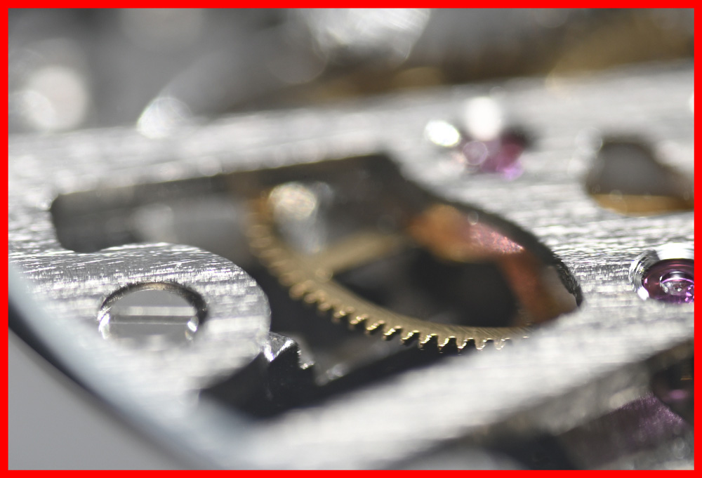 色収差補正と高い解像力写真：NIKKOR Z MC 105mm f/2.8 VR S