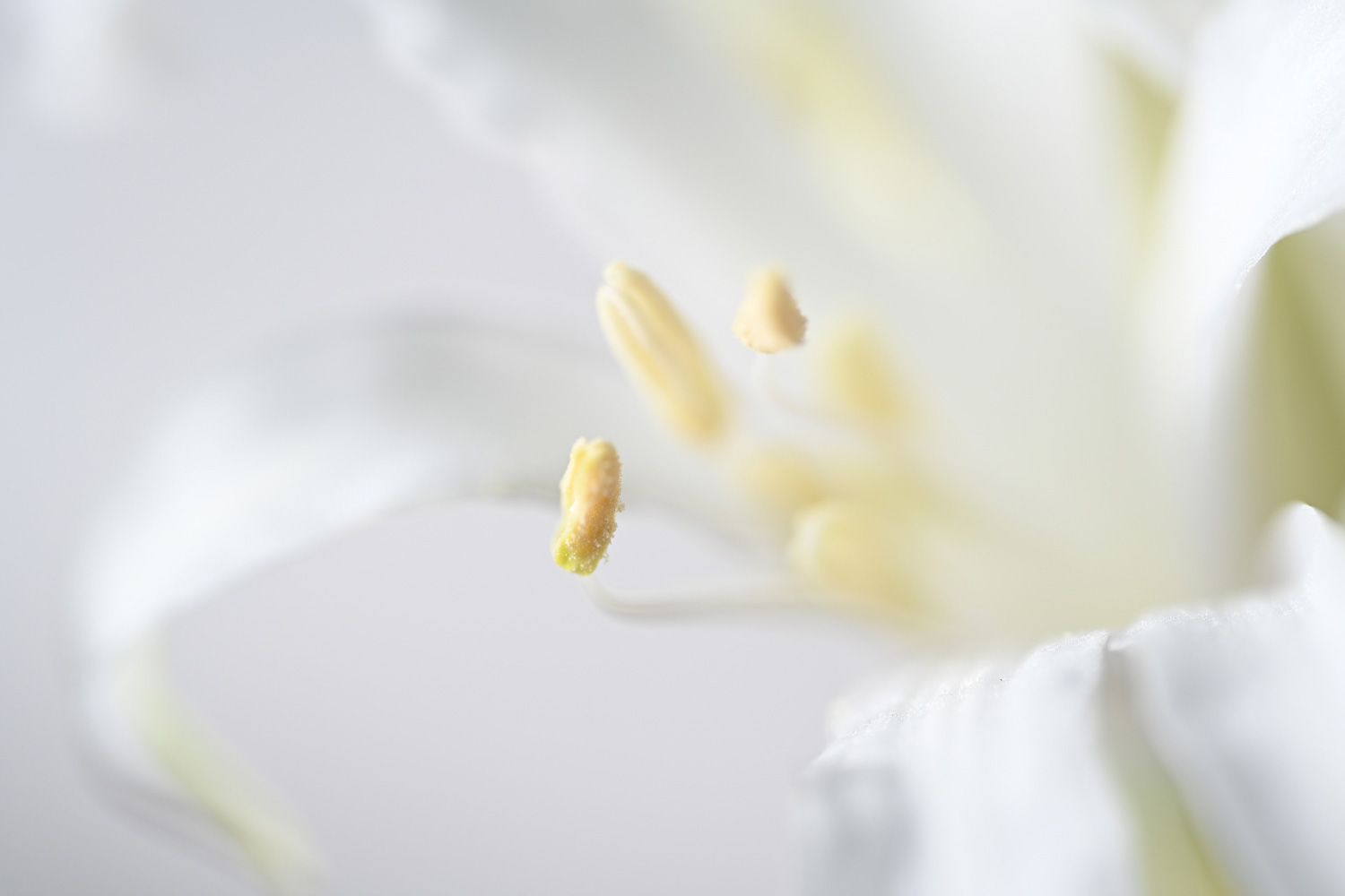 優れたフォーカス性能