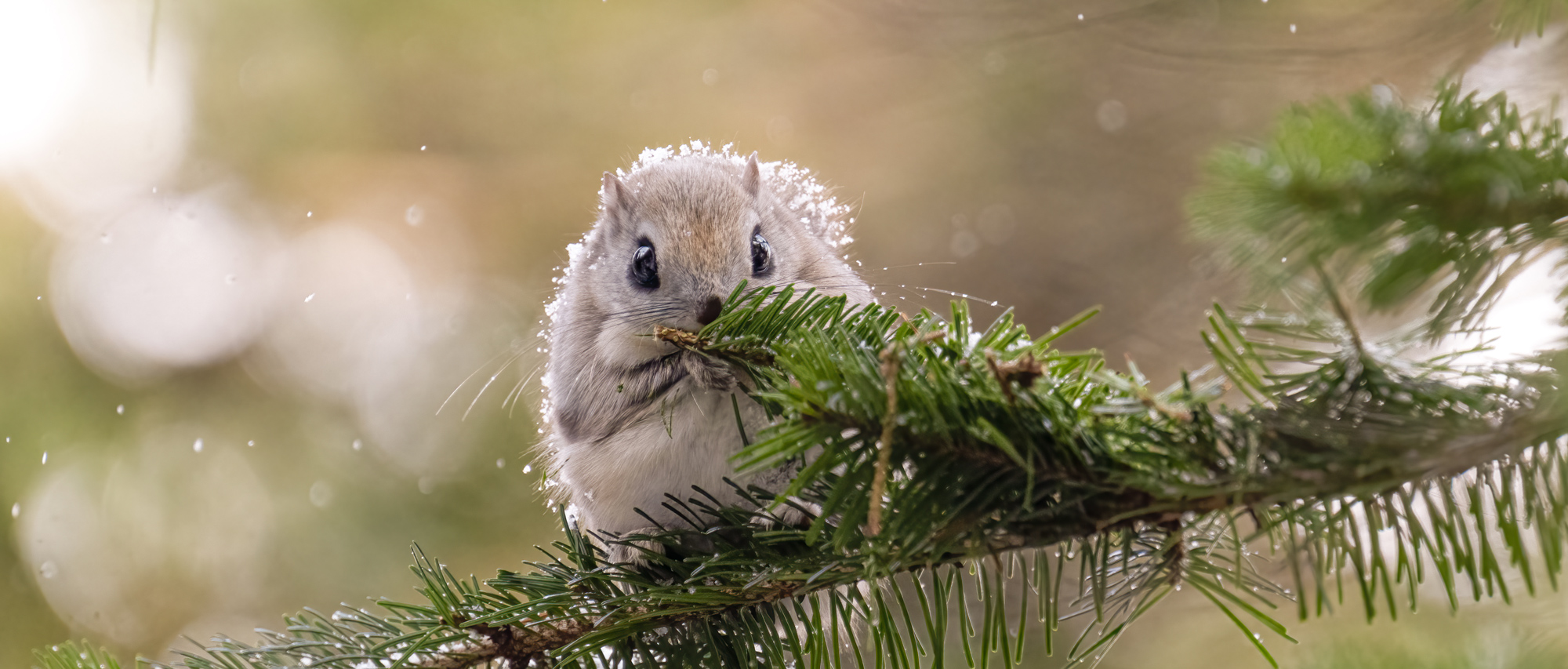 半田 菜摘×NIKKOR Z 70-200mm f/2.8 VR S + Z TELECONVERTER TC-2.0xメイン作例写真