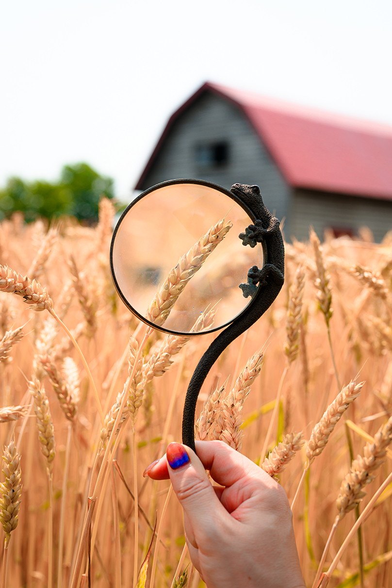 平野 はじめ Hajime Hirano×NIKKOR Z 50mm f/1.8 S作品