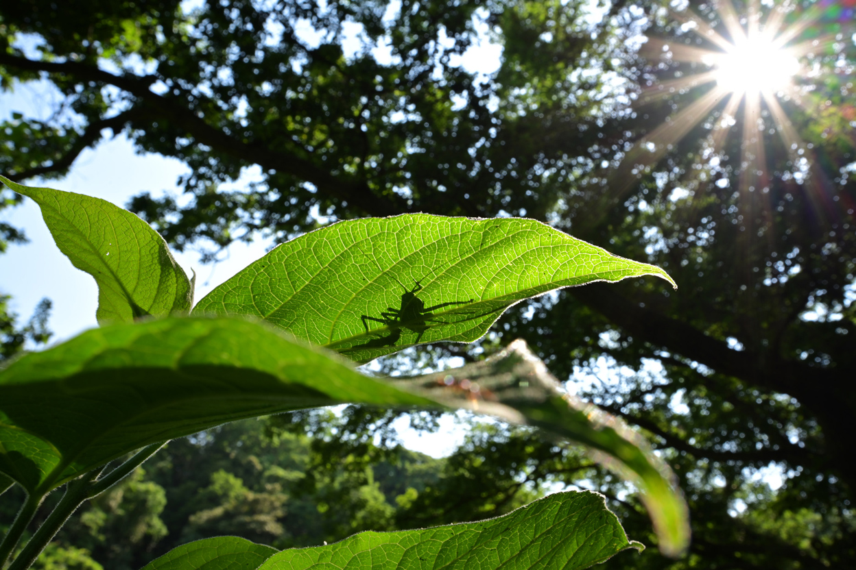 今浦 友喜×NIKKOR Z 14-30mm f/4 S作品