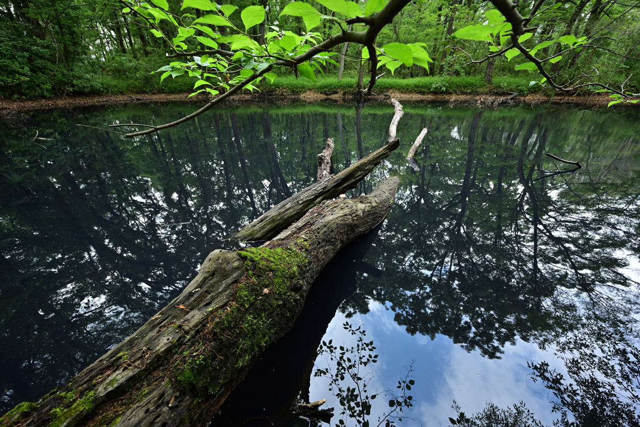 今浦 友喜×NIKKOR Z 14-30mm f/4 S作品