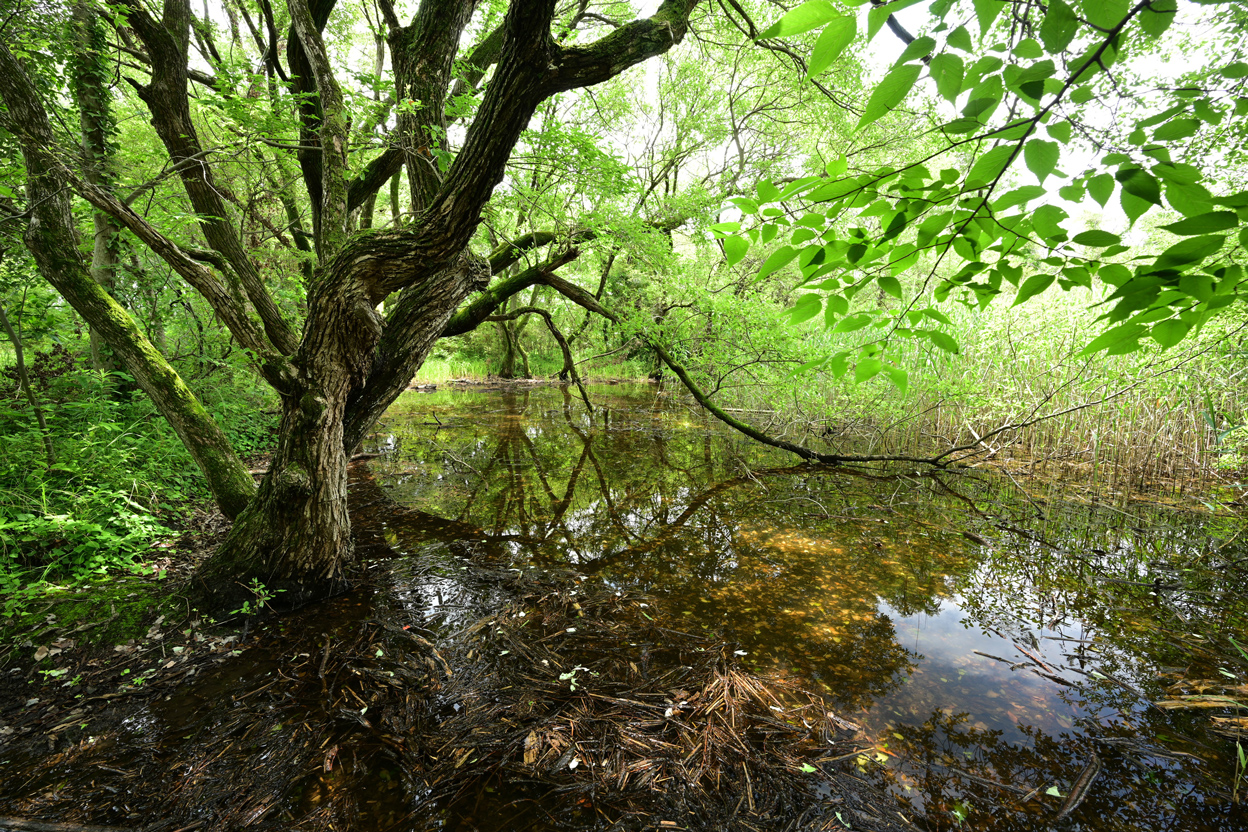 今浦 友喜×NIKKOR Z 14-30mm f/4 S作品