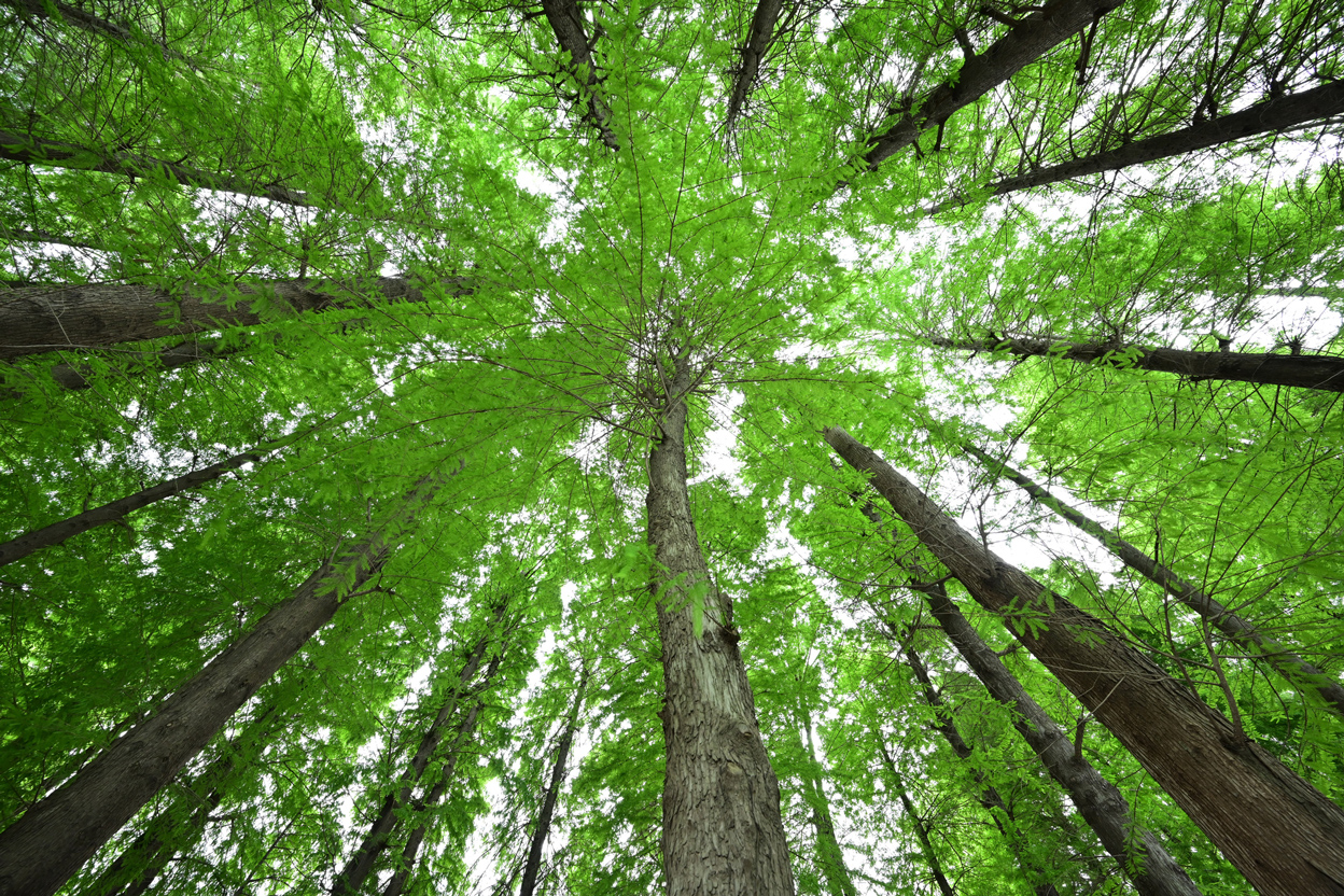 今浦 友喜×NIKKOR Z 14-30mm f/4 S作品