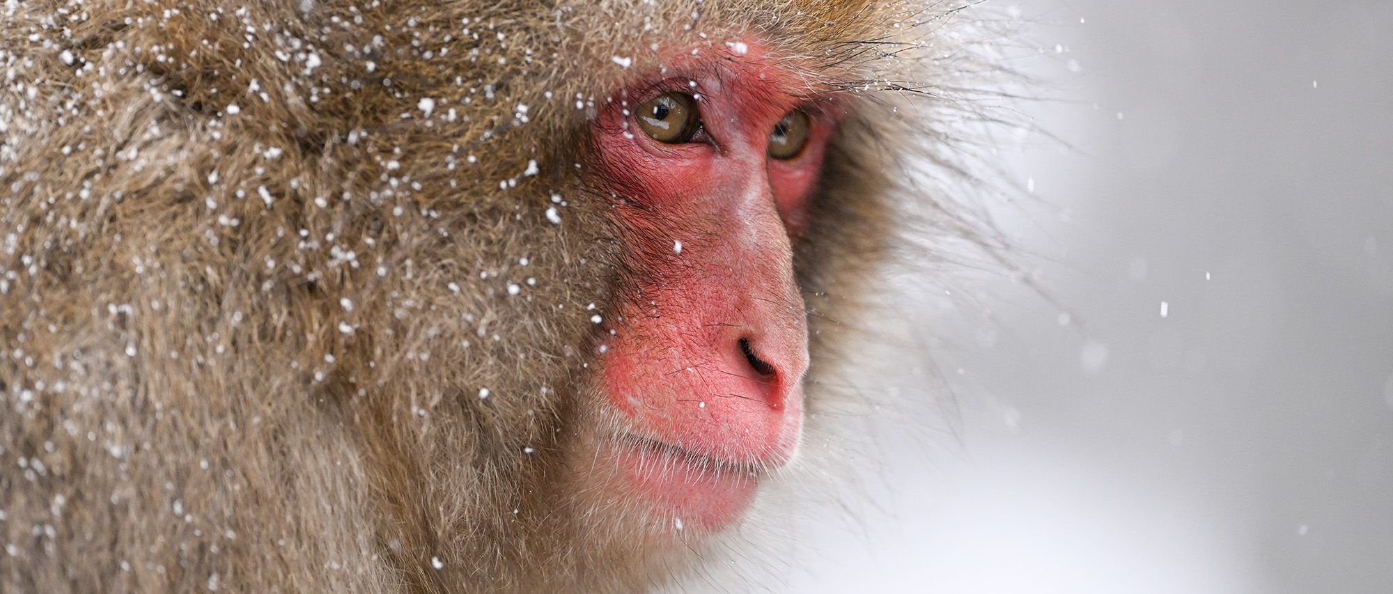 石田 卓士×NIKKOR Z 100-400mm f/4.5-5.6 VR Sメイン作例写真