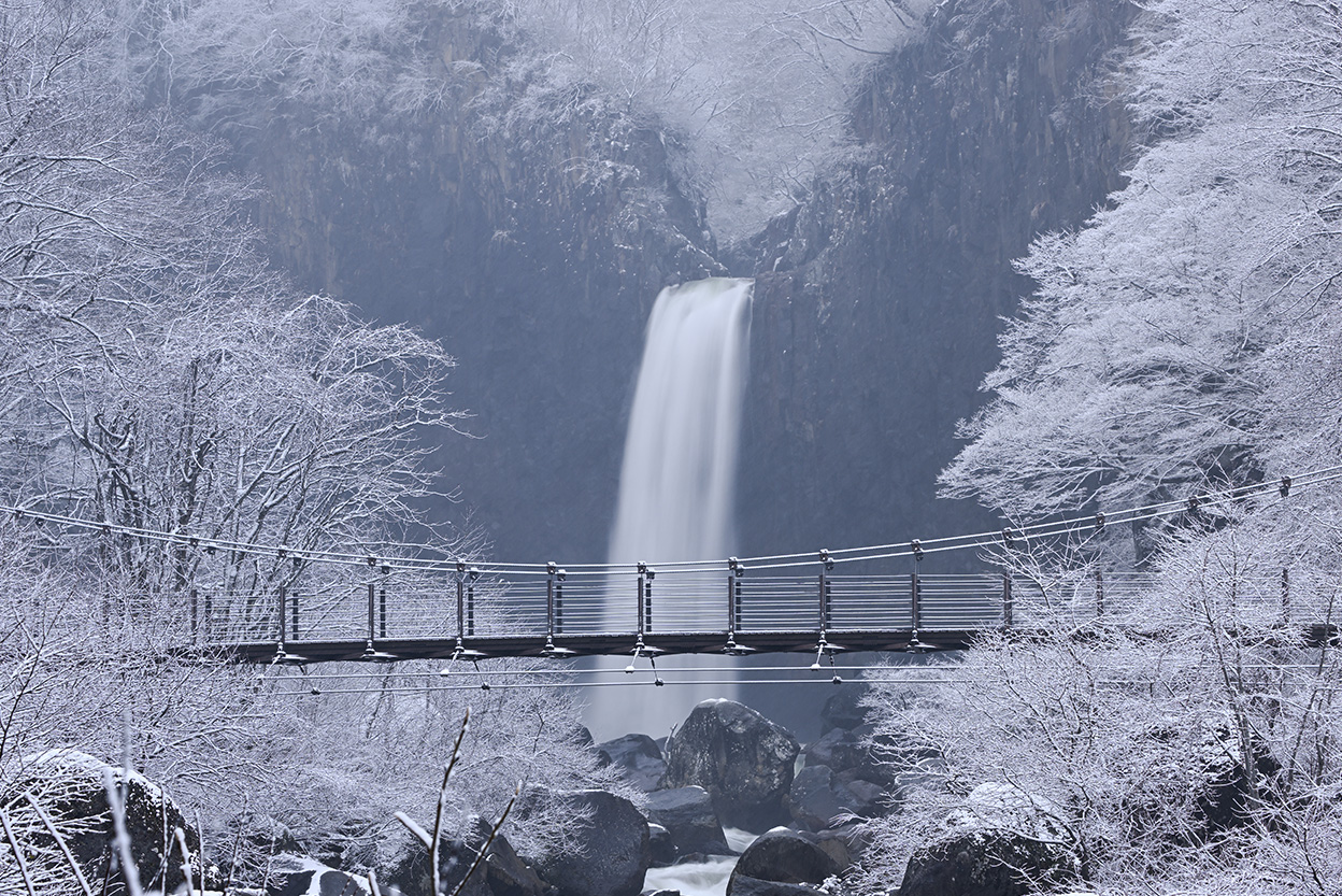 石田 卓士×NIKKOR Z 100-400mm f/4.5-5.6 VR S作品