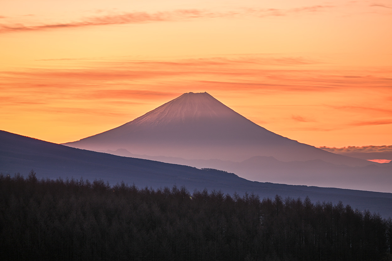 石田 卓士×NIKKOR Z 100-400mm f/4.5-5.6 VR S作品