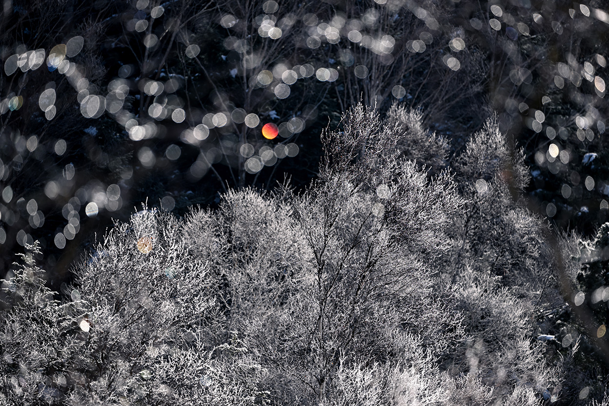 石田 卓士×NIKKOR Z 100-400mm f/4.5-5.6 VR S作品