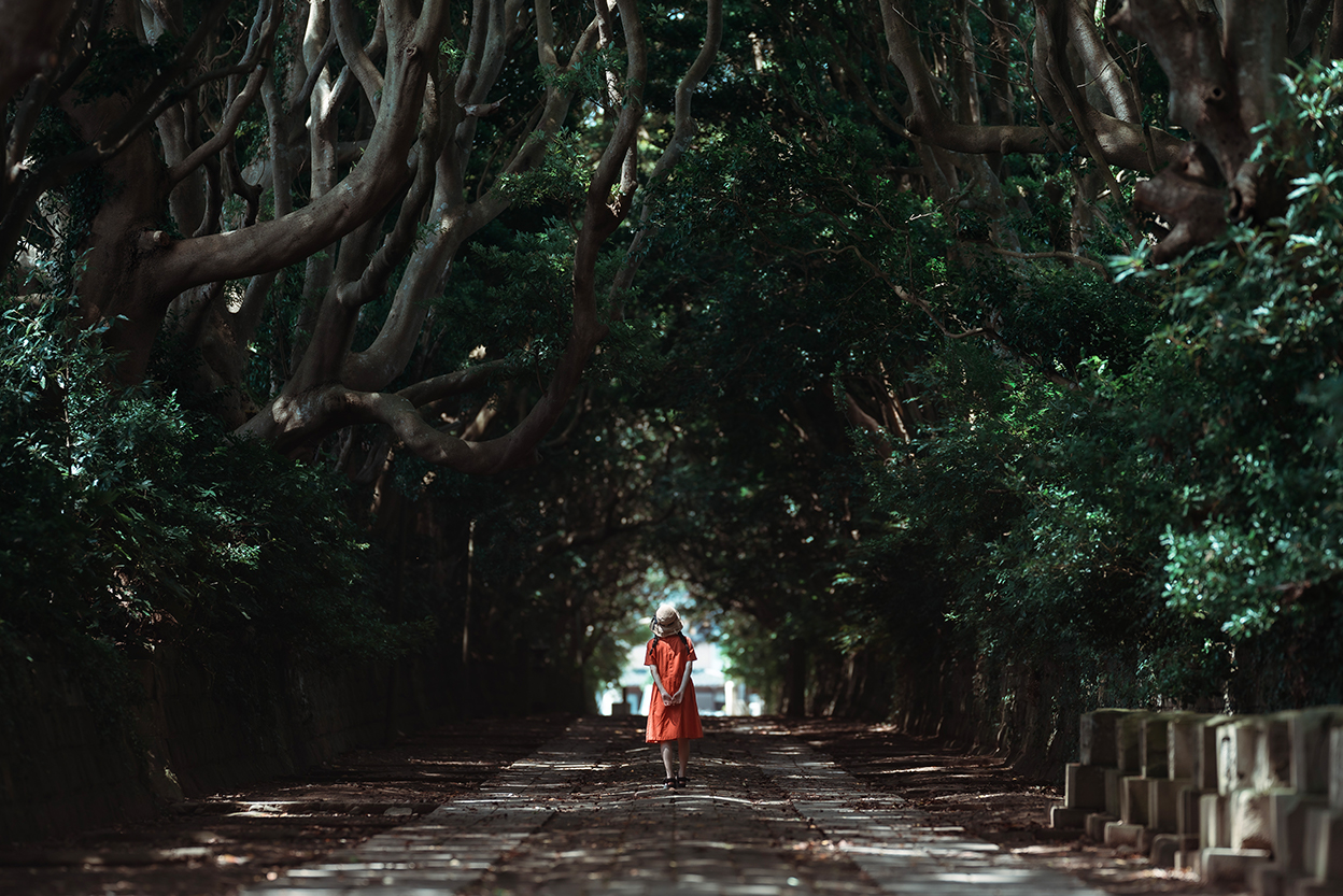 Koichi×NIKKOR Z 135mm f/1.8 S Plena作品