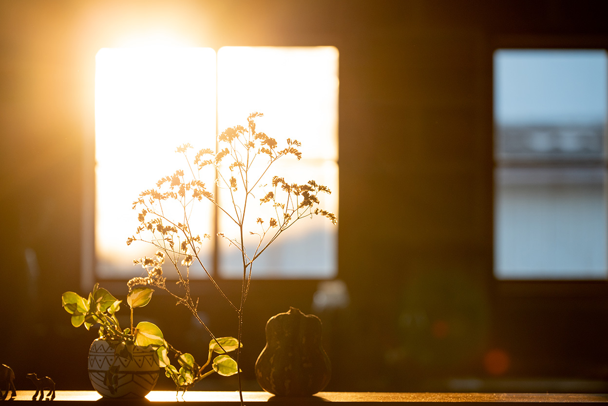 古性 のち×NIKKOR Z 24-120mm f/4 S作品