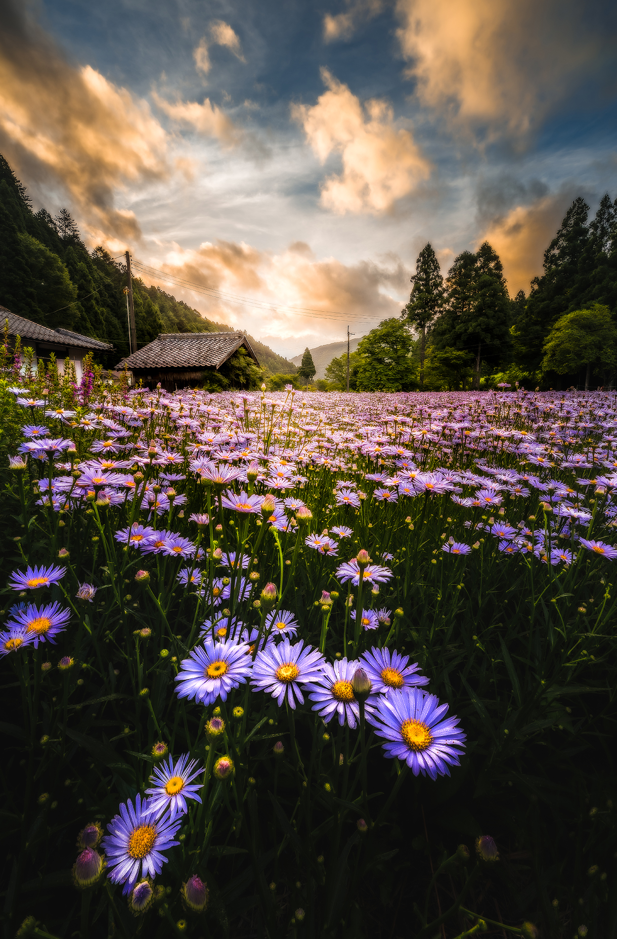 まちゅばら×NIKKOR Z 14-24mm f/2.8 S作品