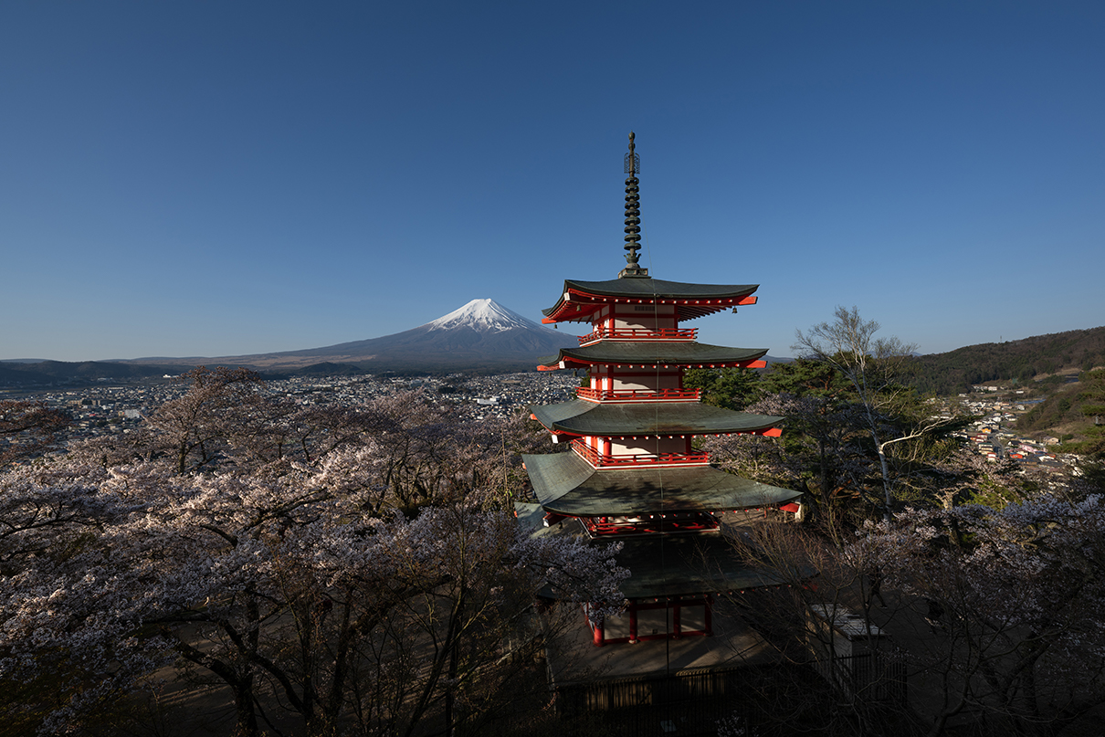 まちゅばら×NIKKOR Z 14-24mm f/2.8 S作品