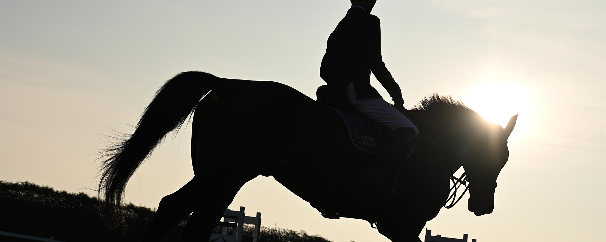 松尾 憲二郎×NIKKOR Z 70-200mm f/2.8 VR Sメイン作例写真