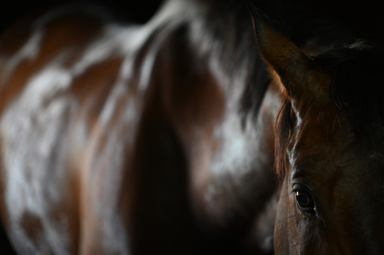 松尾 憲二郎×NIKKOR Z 70-200mm f/2.8 VR S作品