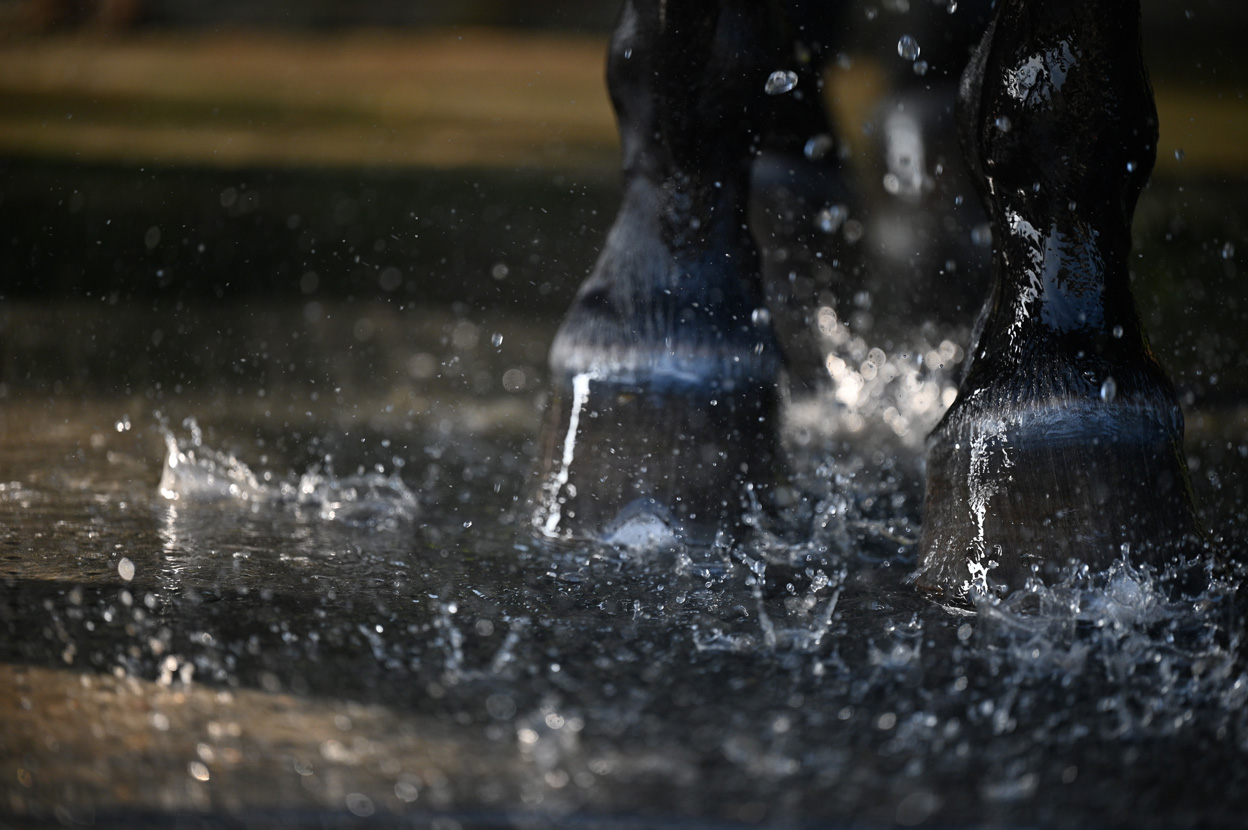 松尾 憲二郎×NIKKOR Z 70-200mm f/2.8 VR S作品
