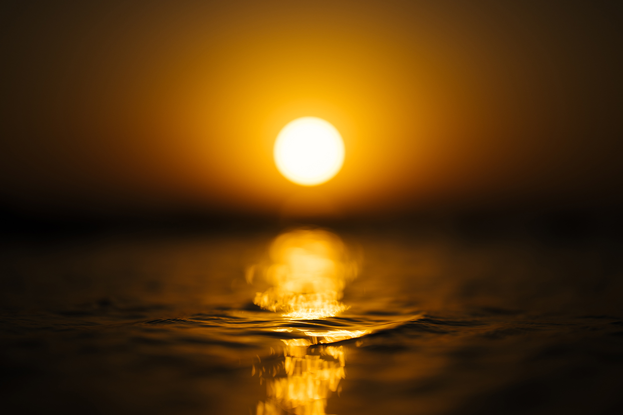 MOKKUN×NIKKOR Z 85mm f/1.2 S作品