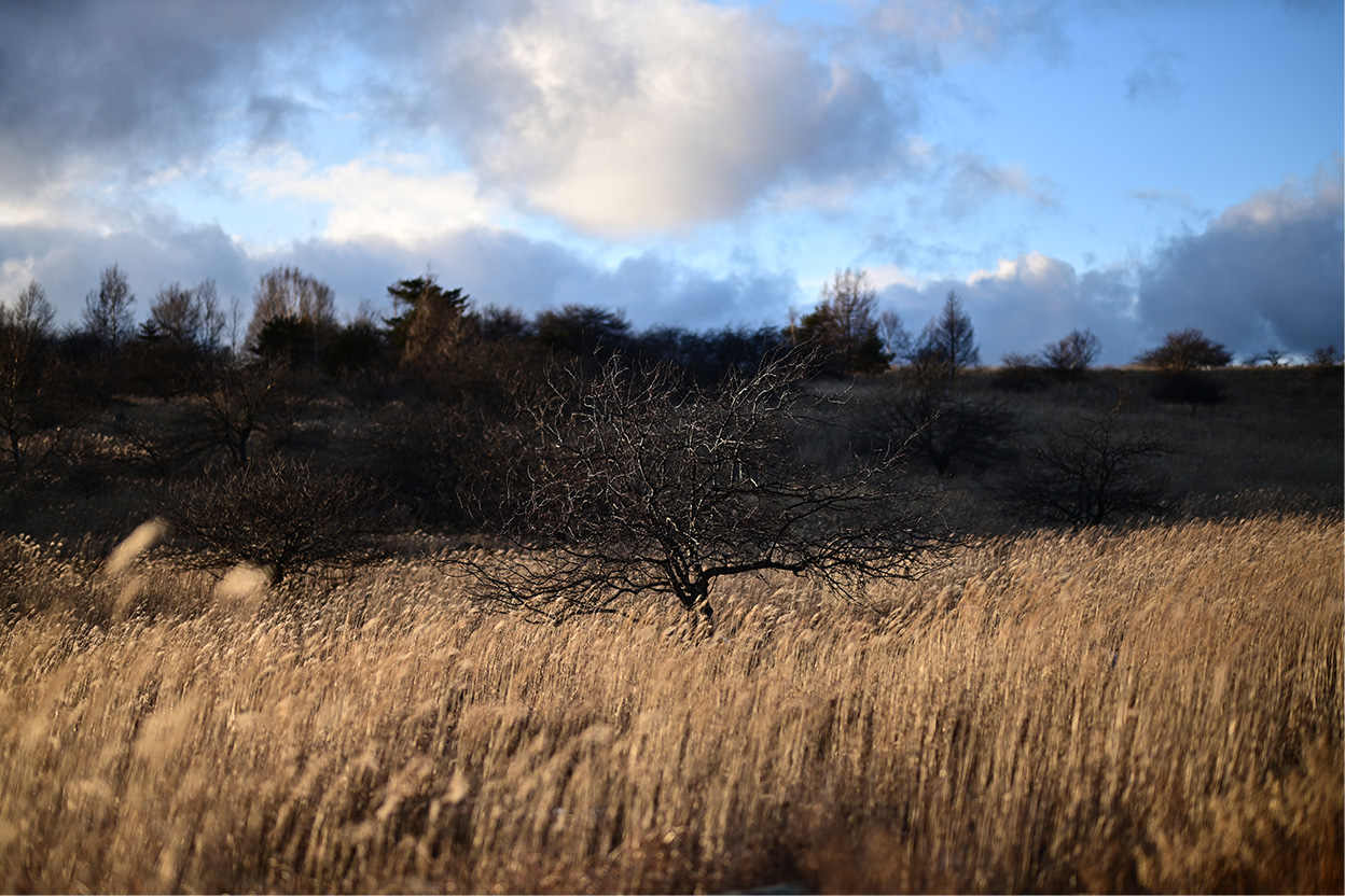 茂手木 秀行×NIKKOR Z 58mm f/0.95 S Noct作品