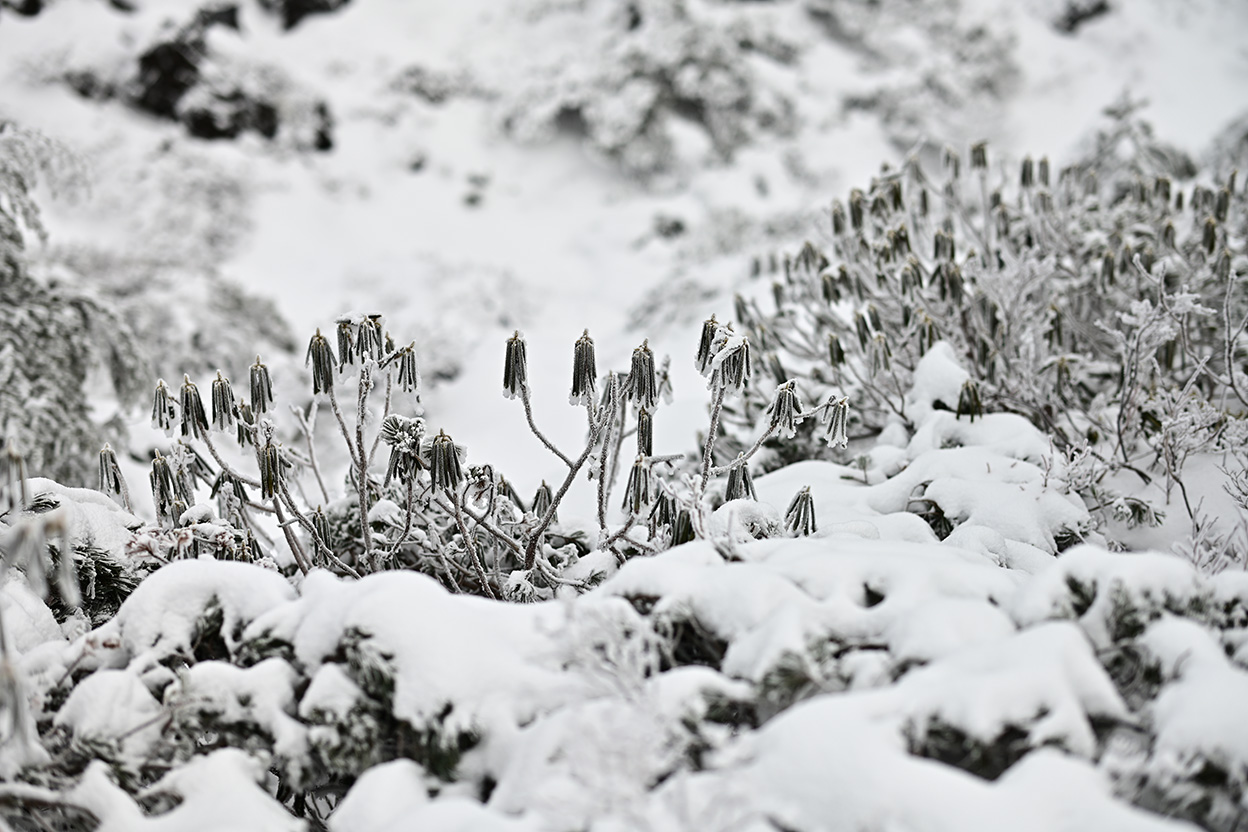 茂手木 秀行×NIKKOR Z 58mm f/0.95 S Noct作品